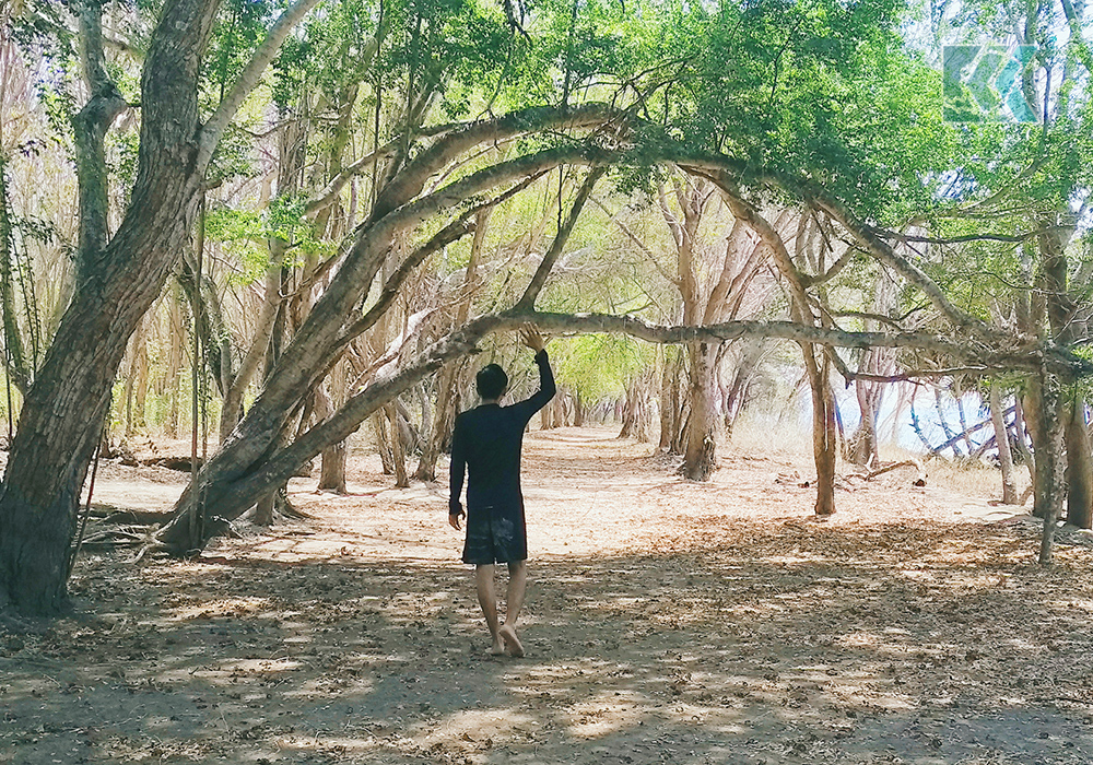 hutan gili nanggu